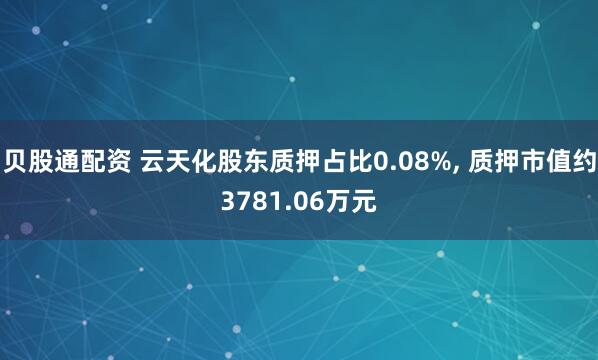 贝股通配资 云天化股东质押占比0.08%, 质押市值约3781.06万元